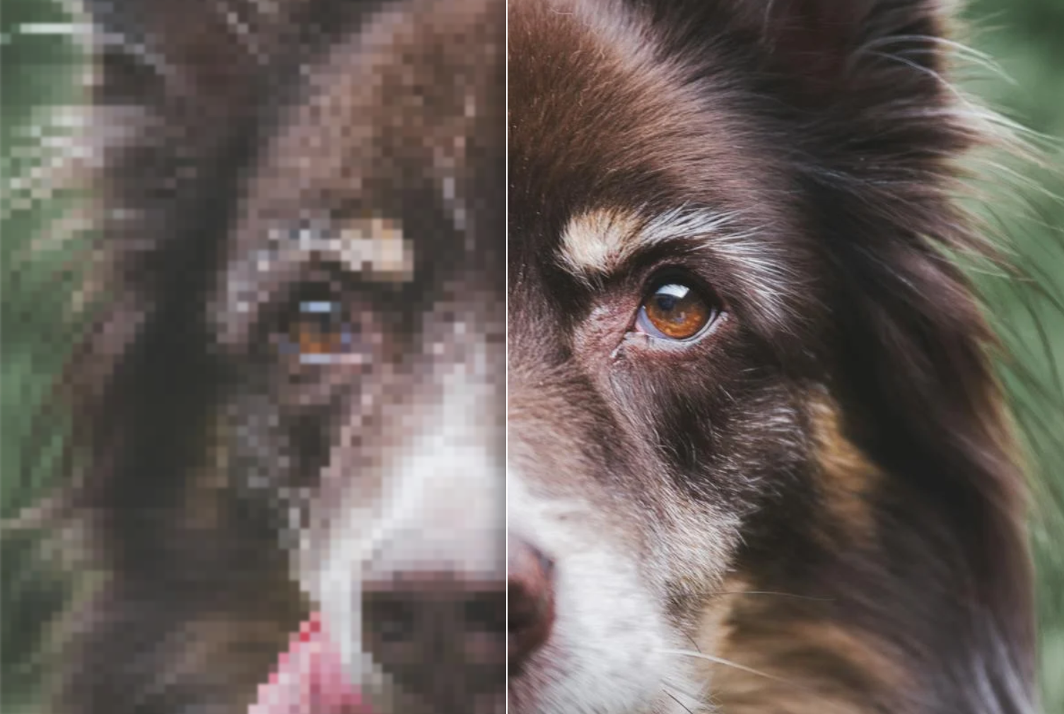 Before and after photo upscaling example